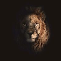 sadikazim90