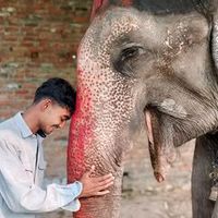 saddhhuram