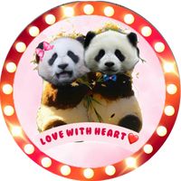 nhạc nền - Love With Heart❤️