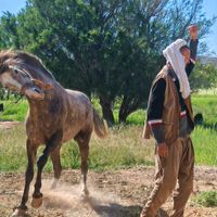 الصوت الأصلي