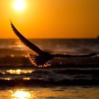 poethblay8