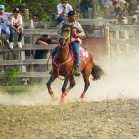 moritaranch