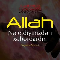 elman.1006