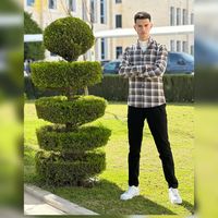 mohammd_abo_amrea