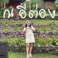 เสียงต้นฉบับ - Apple Paweena