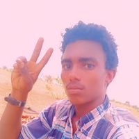 mahmud91053