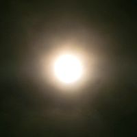 milos_84_