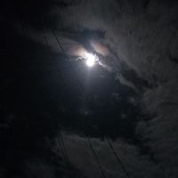 original sound - ©️®️