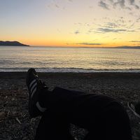 オリジナル楽曲 - ふぇねっく