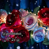 meri maa ke barabar koi nahin