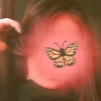 areebatanoli8