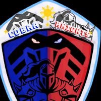 cobraknightsdiary