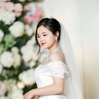 mai593754