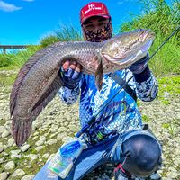 ajikufish59