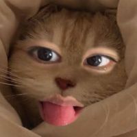 nk.sz_x