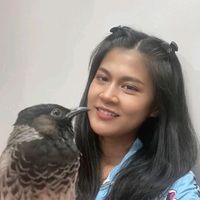 malaye27