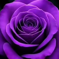 lindy_fletcher