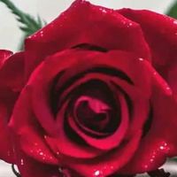 original sound - 💞VASAN💞