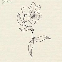 11.nargiis