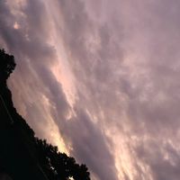 mineli_27