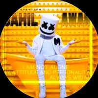 jsjutt_saab