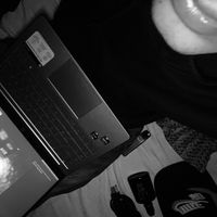 the.felipp