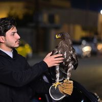 الصوت الأصلي