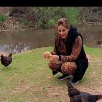 الصوت الأصلي