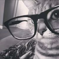 hninzinwin7