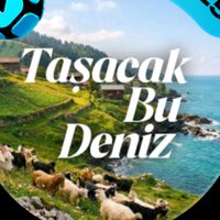 tbdedit7