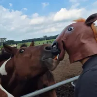 original sound - user687471511390