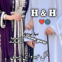 houssem.elrossi41