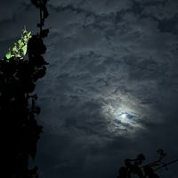 ix_190