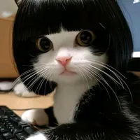 ko yêu đừng hẹn kiếp sau.