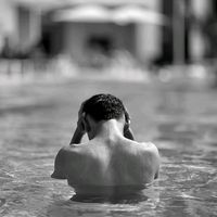 abo_elshekh7