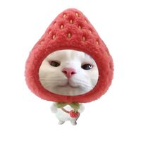 suara asli - Asyiqmania_bekasi