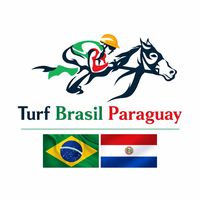 turf__paraguay___brasil