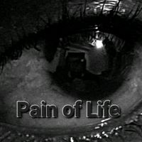 pain_of_life___