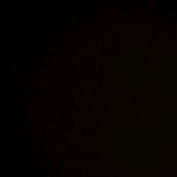 nohavename749
