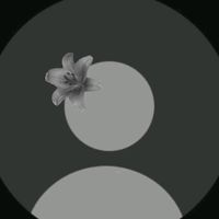 bunyi asal - ★ تررينا تر رينا