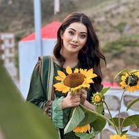 sheeza7681