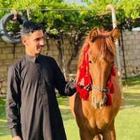 ali_ri_2