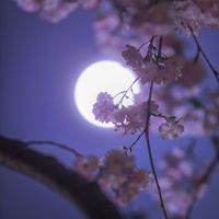 haruka_097user