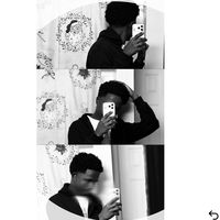 gedo_mongash