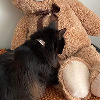 chained to the rhythm uploaded by toriiiii