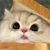 userxuctlqay87