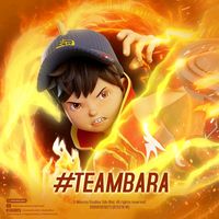 teambara320