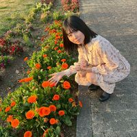 ask_da