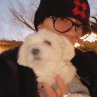 ミセスディズニー