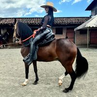 paulaandrea292